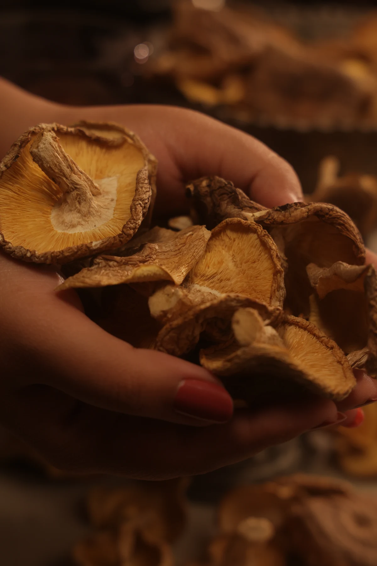 Sun Dried Shiitake Mushrooms - Image 2