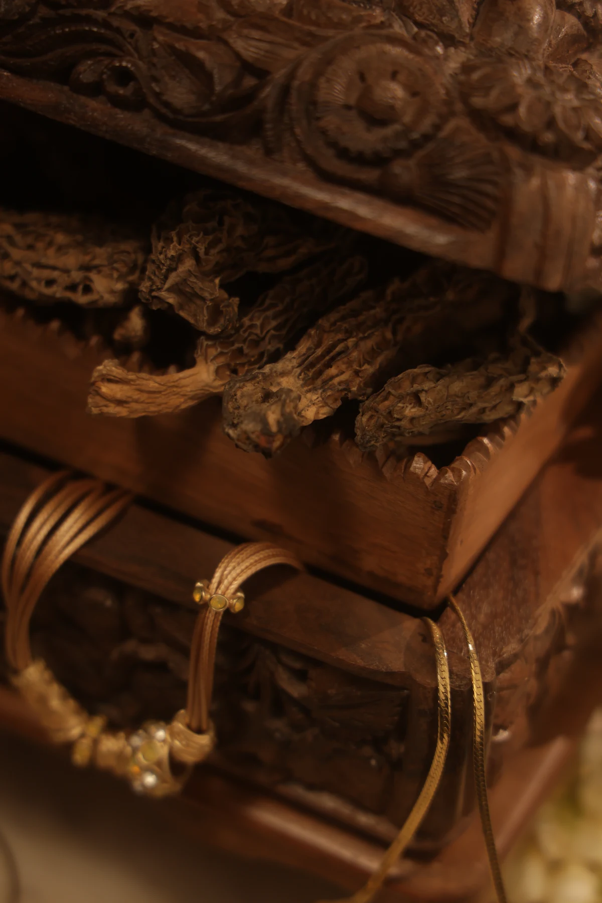 Morel mushrooms (Gucchi) - Image 2