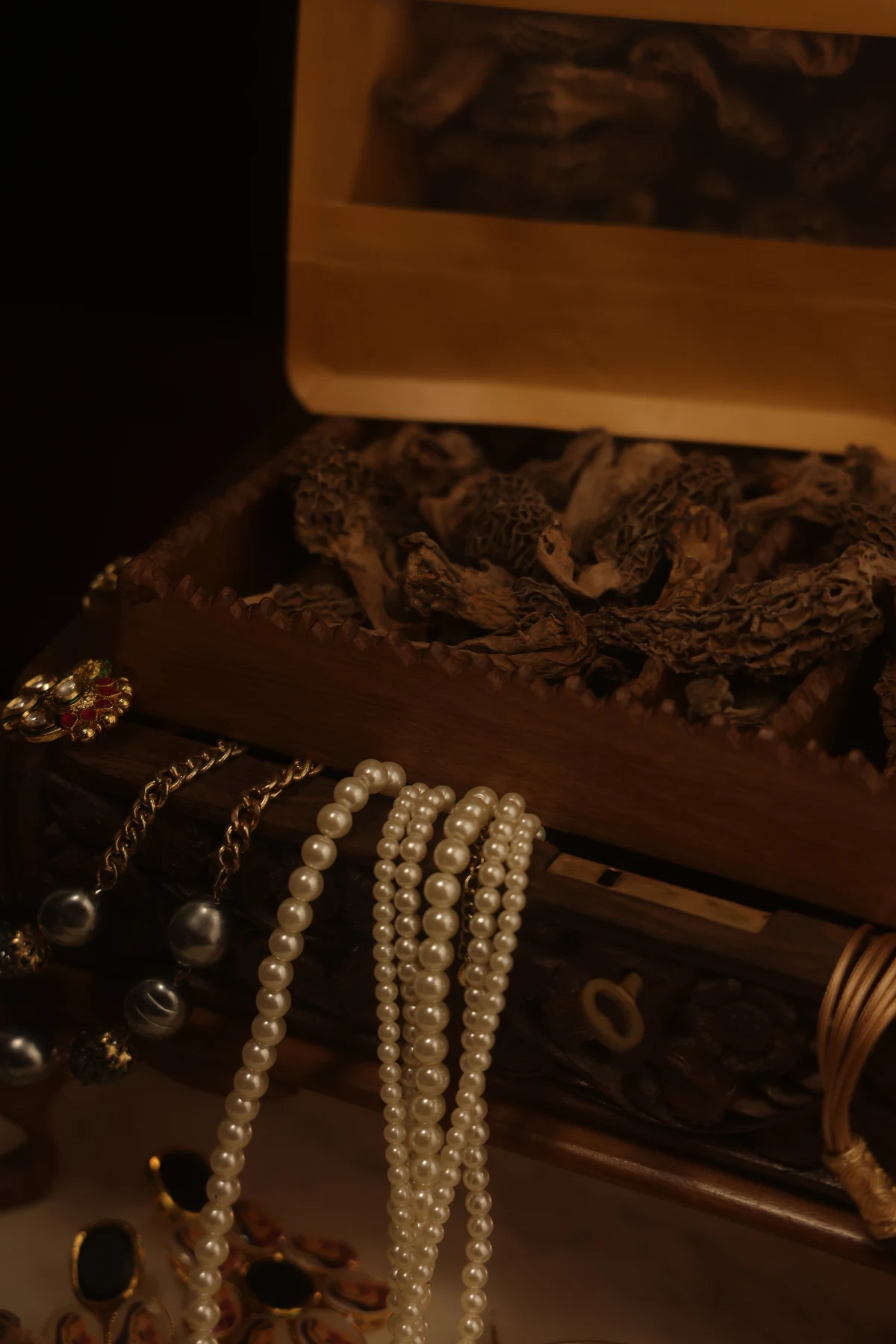 Morel mushrooms (Gucchi) - Image 3